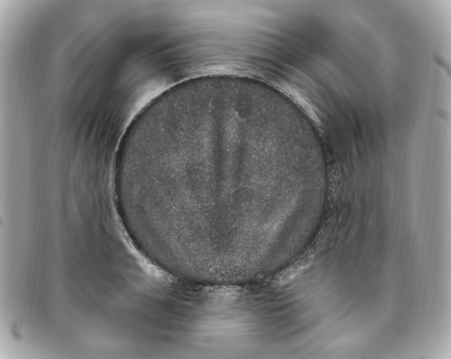 X0000096490991200802071938