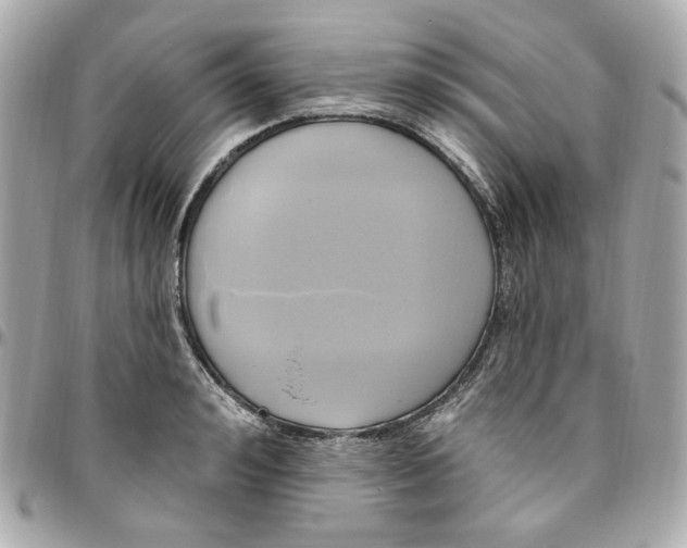 X0000096490992200802071938