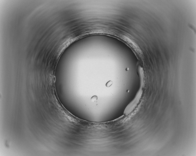 X0000096490993200802071938