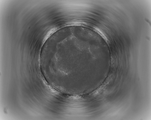 X0000096490994200802071938