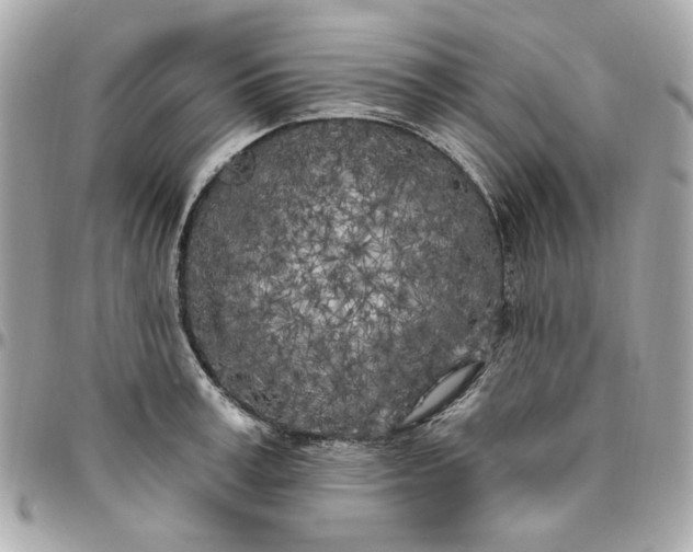 X0000096490995200802071938