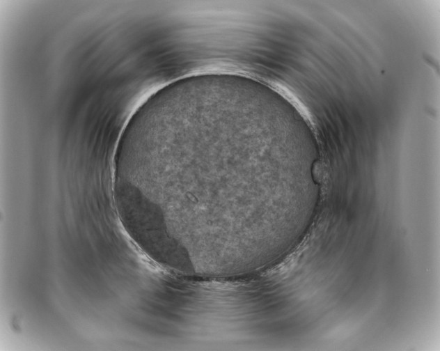 X0000096490996200802071938