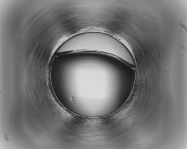 X0000096490997200802071938