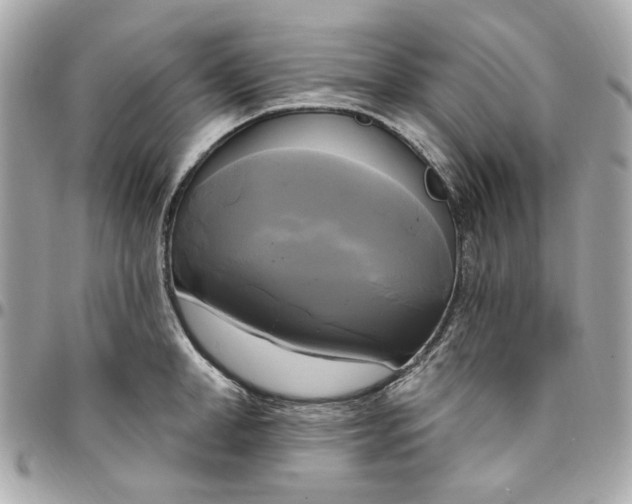 X0000096490998200802071938