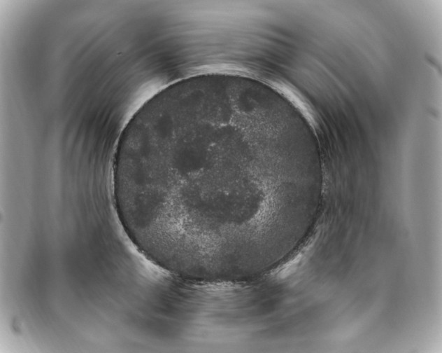 X0000096490999200802071938