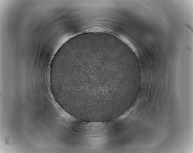 X0000096491000200802071938