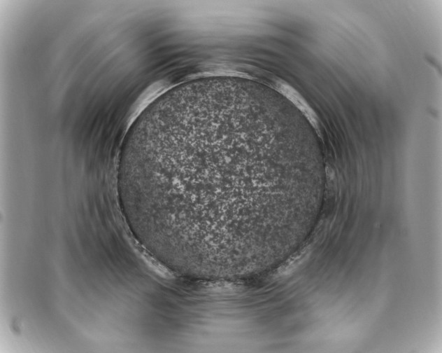 X0000096491002200802071938