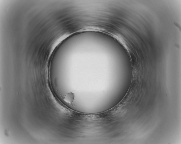 X0000096491003200802071938