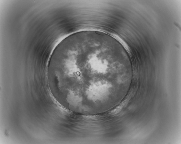 X0000096491004200802071938