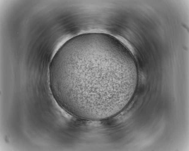 X0000096491006200802071938