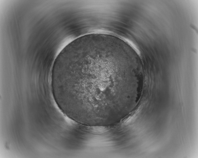 X0000096491007200802071938