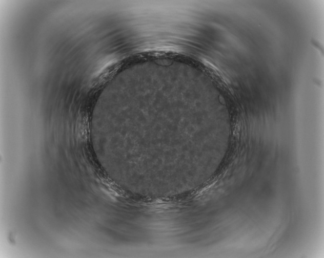 X0000096491014200802071937