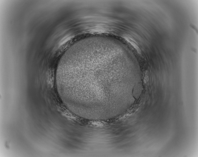 X0000096491015200802071937