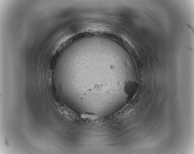 X0000096491016200802071937