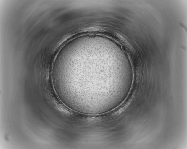 X0000096491017200802071937