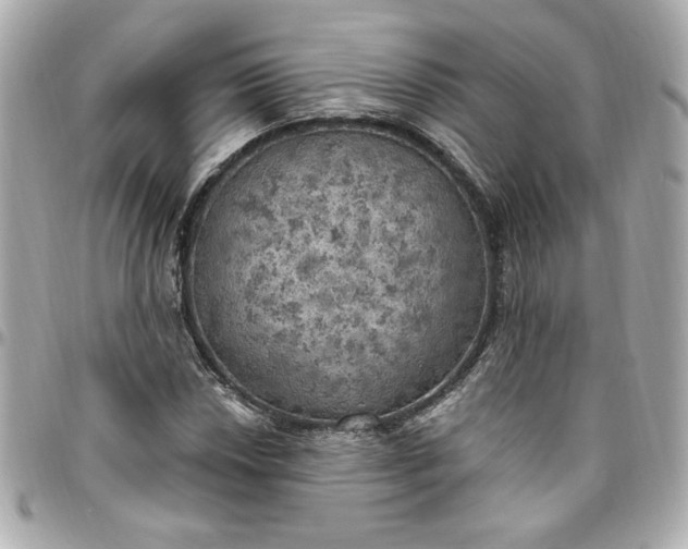 X0000096491018200802071937