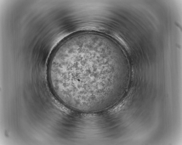 X0000096491020200802071938