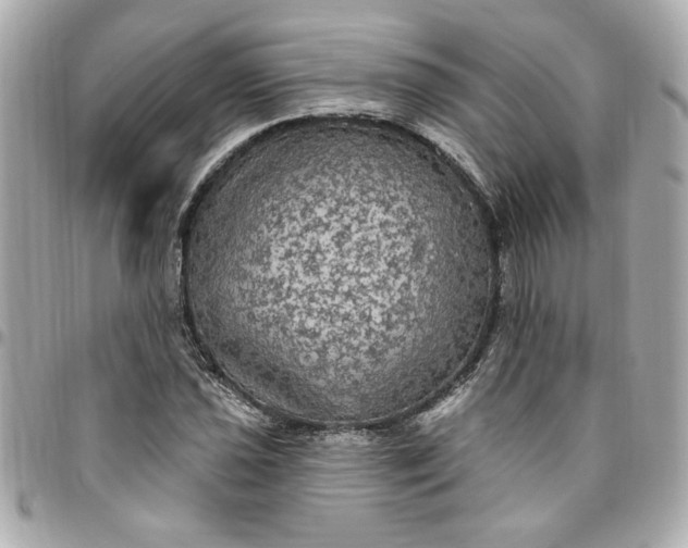 X0000096491021200802071938