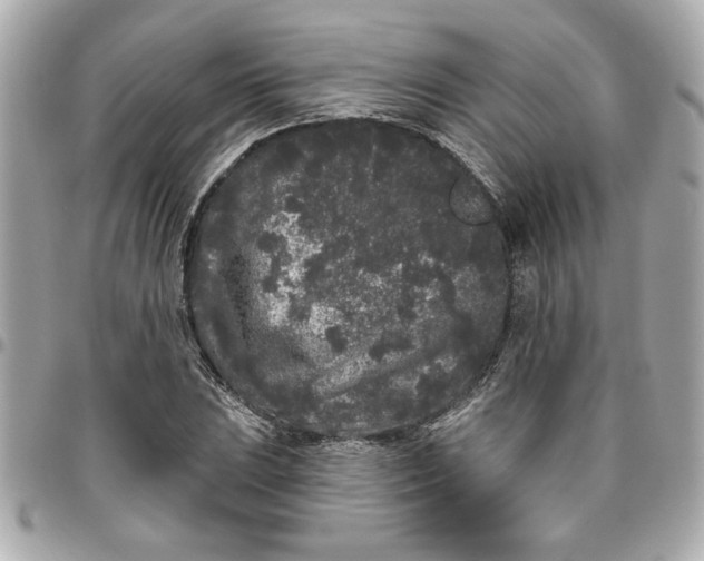 X0000096491023200802071938