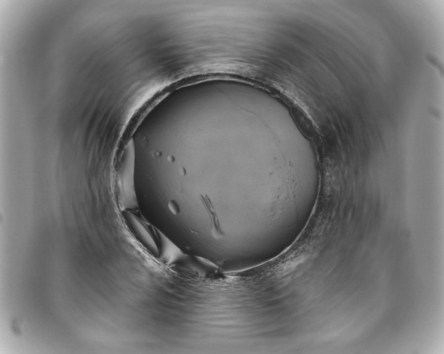 X0000096491024200802071938