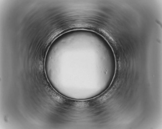 X0000096491025200802071938