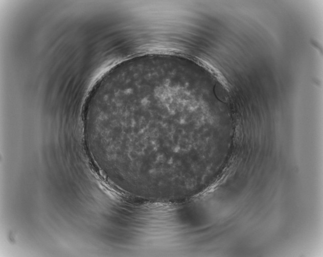 X0000096491027200802071938