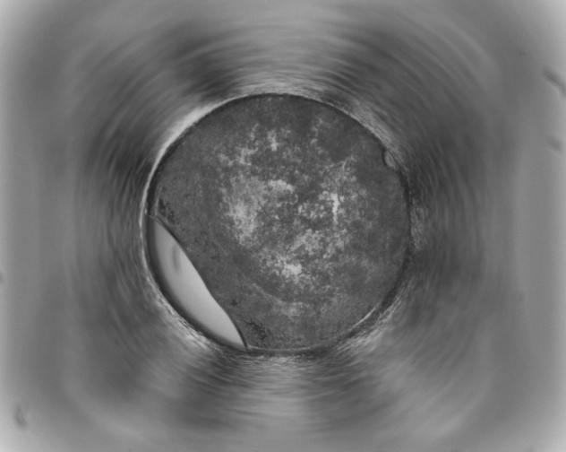 X0000096491028200802071938