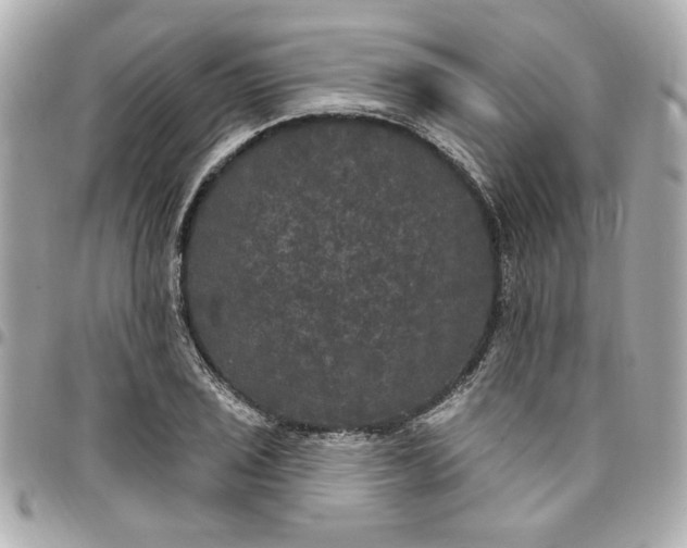 X0000096491029200802071938