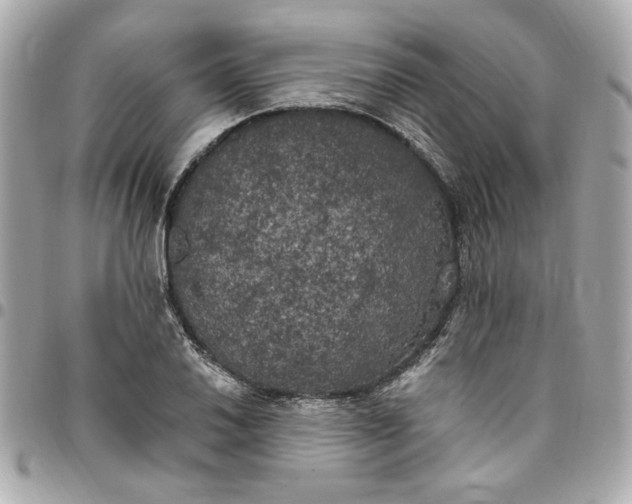 X0000096491030200802071938