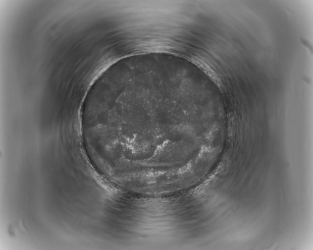 X0000096491031200802071938