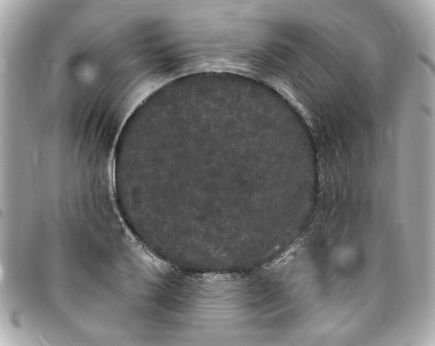 X0000096491032200802071938