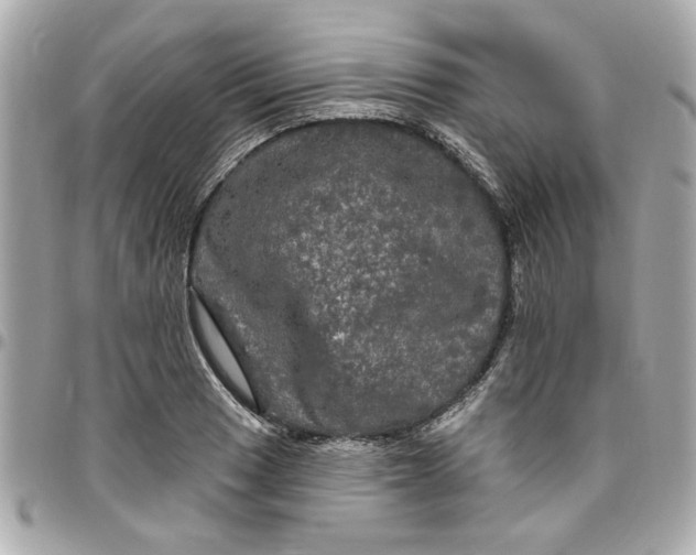 X0000096491033200802071938