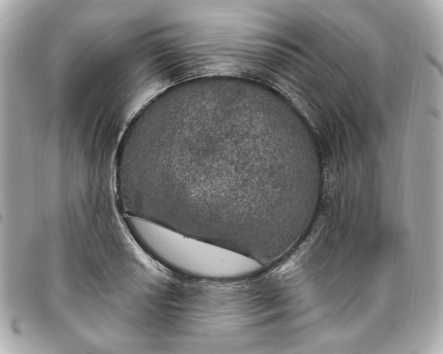 X0000096491034200802071938