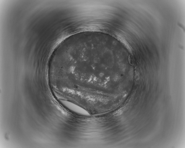 X0000096491035200802071938