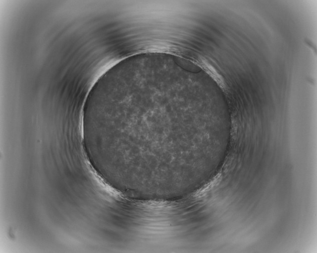 X0000096491036200802071938