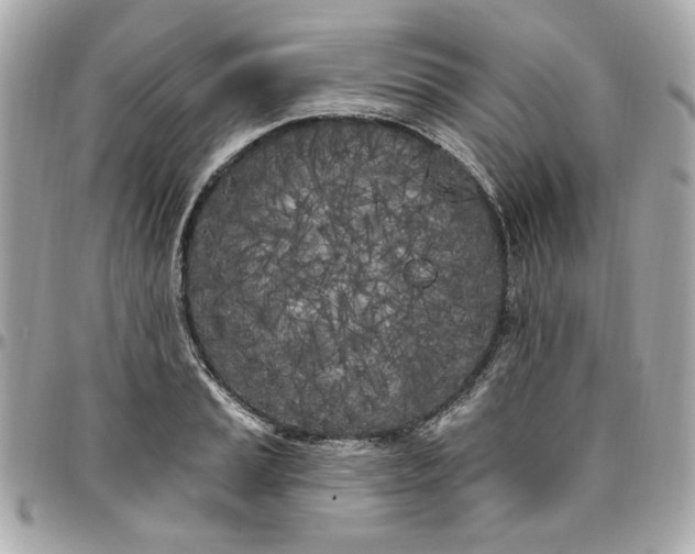 X0000096491037200802071938