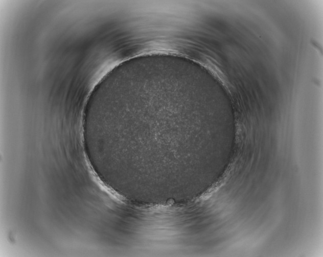 X0000096491038200802071938