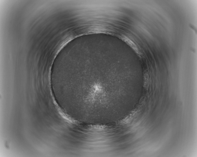 X0000096491039200802071938