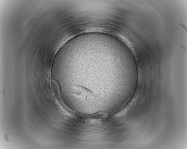 X0000096491041200802071938