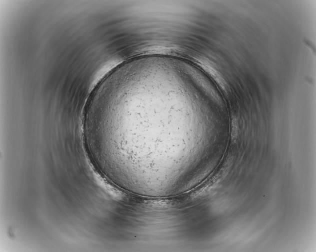 X0000096491042200802071938