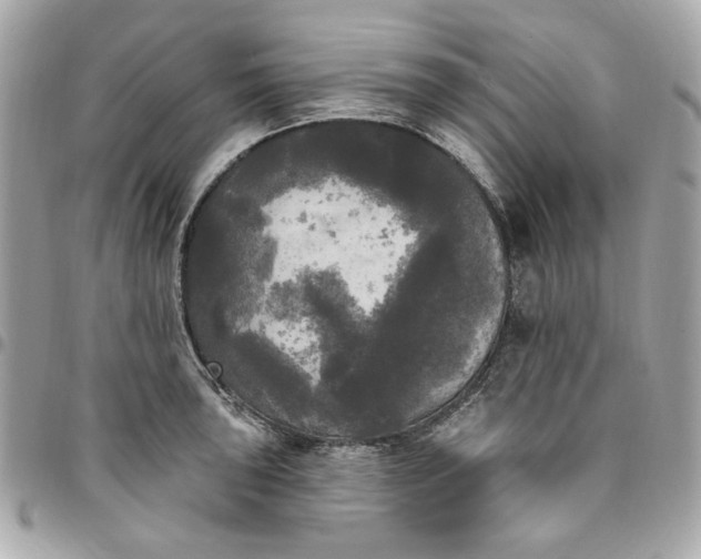 X0000096491043200802071938