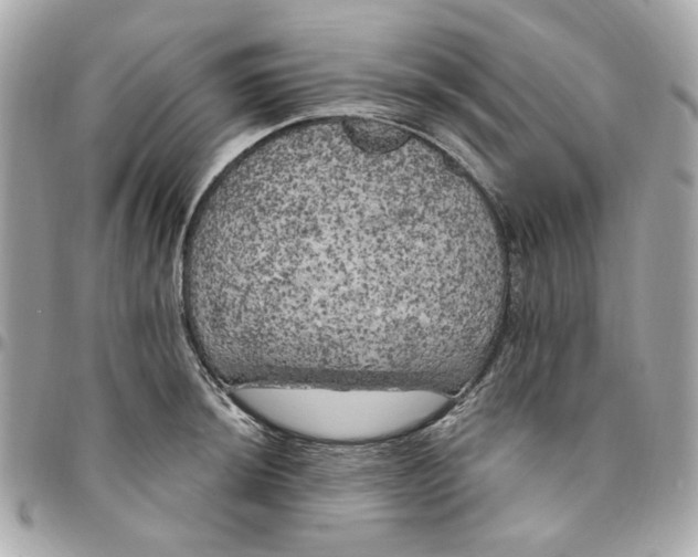 X0000096491044200802071938