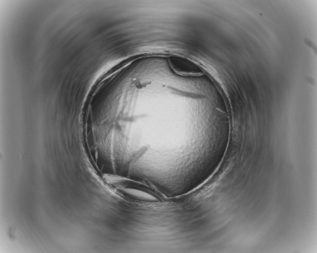 X0000096491045200802071938