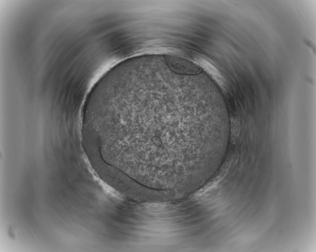 X0000096491046200802071938