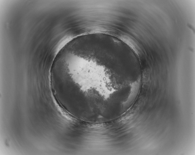 X0000096491047200802071938