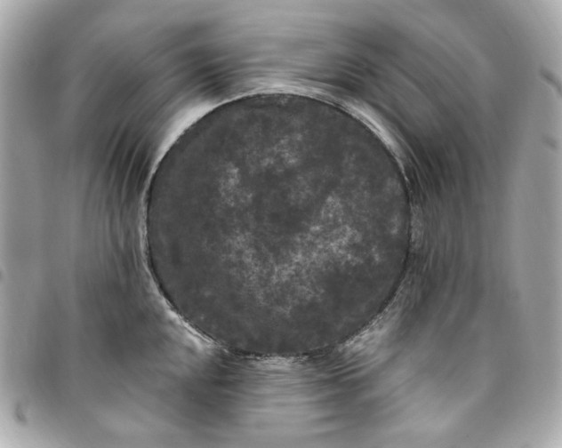 X0000096491048200802071938