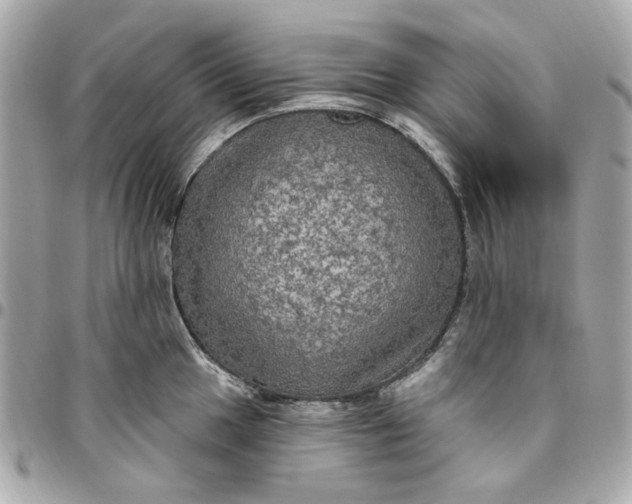 X0000096491049200802071938