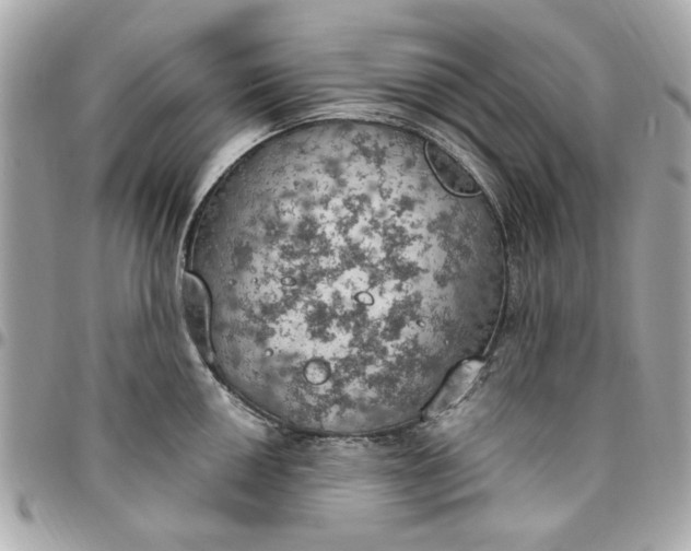 X0000096491050200802071938