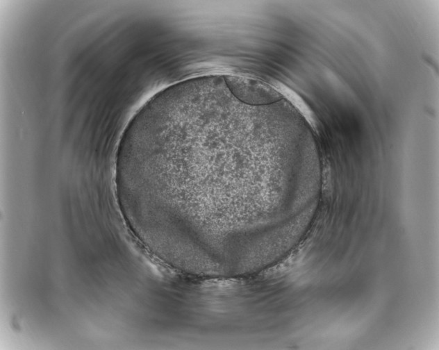 X0000096491051200802071938