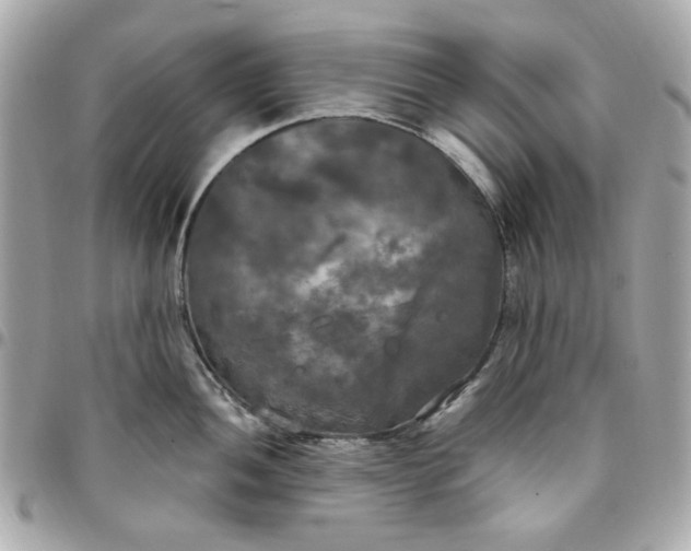 X0000096491052200802071938